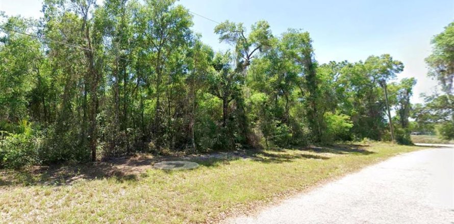 Terrain à Hernando, Floride № 2202853