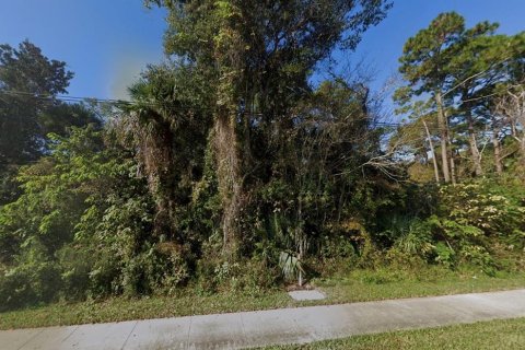 Land in Edgewater, Florida № 2203373 - photo 2