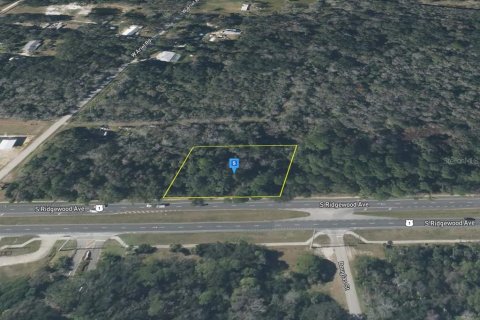 Land in Edgewater, Florida № 2203373 - photo 3