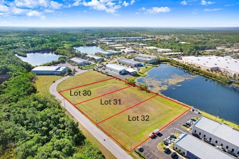 Land in Tampa, Florida № 1720293 - photo 4