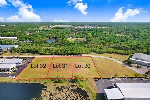 Land in Tampa, Florida № 1720293 - photo 6