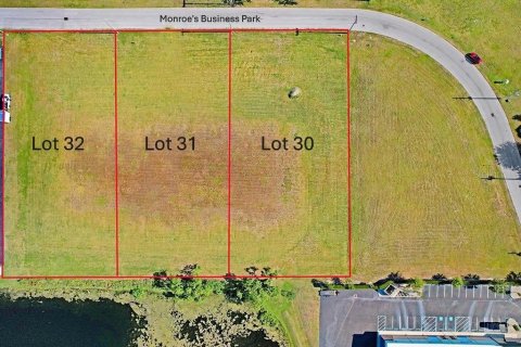 Land in Tampa, Florida № 1720293 - photo 8