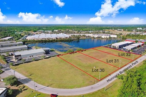 Land in Tampa, Florida № 1720293 - photo 2