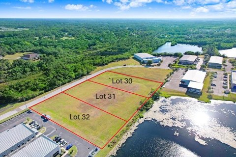 Land in Tampa, Florida № 1720293 - photo 5