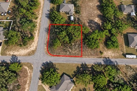 Land in Citrus Springs, Florida № 2360838