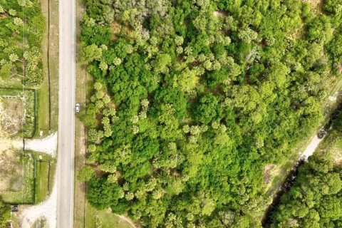Immobilier commercial à Okeechobee, Floride № 2190682