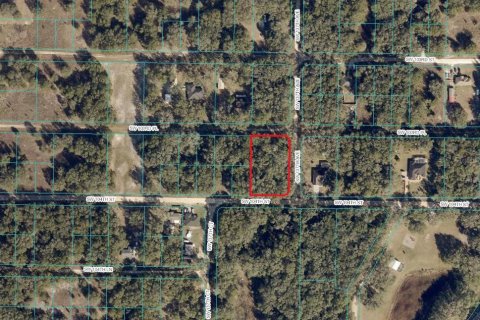 Land in Dunnellon, Florida № 225775 - photo 2
