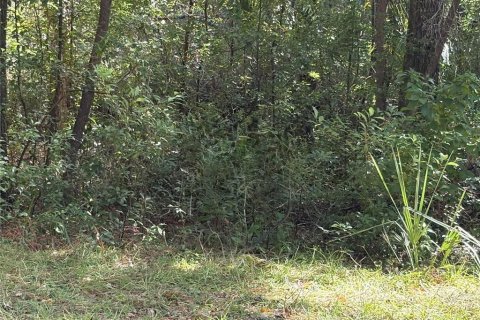 Land in Inverness, Florida № 2164370 - photo 4