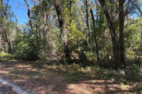 Land in Inverness, Florida № 2164370 - photo 2