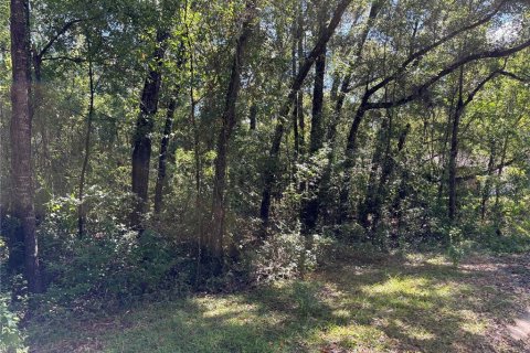 Land in Inverness, Florida № 2164370 - photo 3