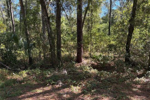 Land in Inverness, Florida № 2164370