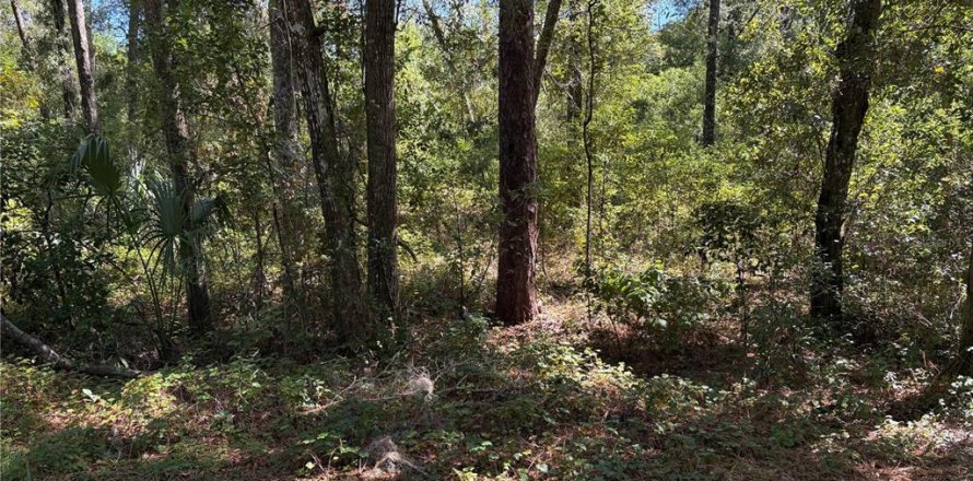 Land in Inverness, Florida № 2164370