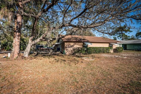 Commercial property in Tarpon Springs, Florida 264.31 sq.m. № 1743450 - photo 12