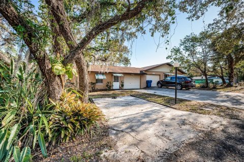 Commercial property in Tarpon Springs, Florida 264.31 sq.m. № 1743450 - photo 3