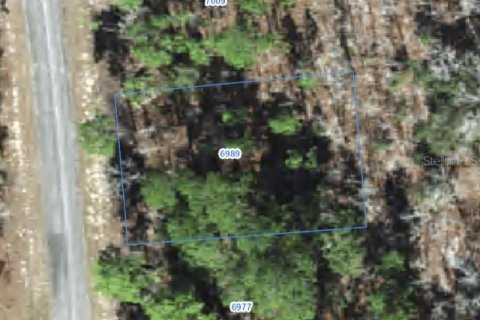 Land in Citrus Springs, Florida № 2388264