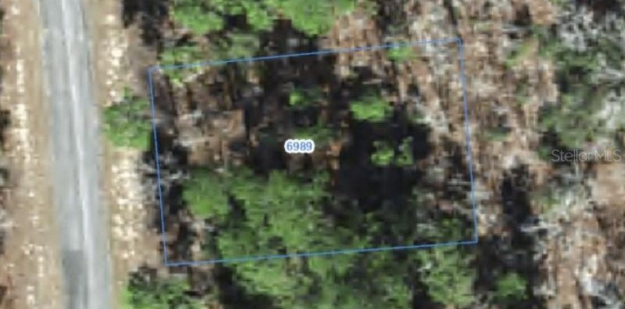 Land in Citrus Springs, Florida № 2388264