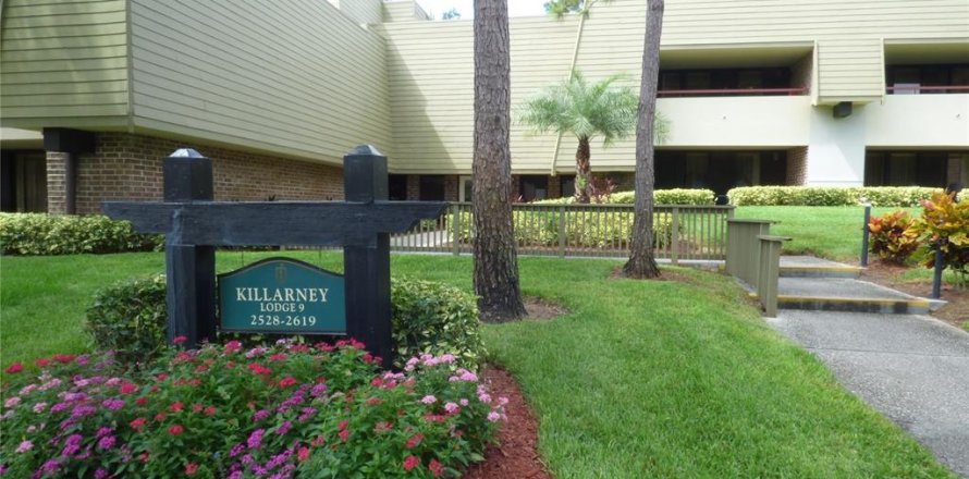 Condominio en Palm Harbor, Florida, 1 dormitorio  № 1783028