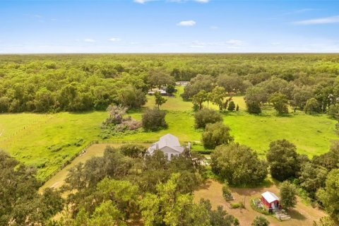 House in Thonotosassa, Florida 4 bedrooms, 402.92 sq.m. № 2337365 - photo 13