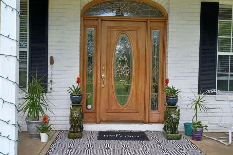 House in Thonotosassa, Florida 4 bedrooms, 402.92 sq.m. № 2337365 - photo 19
