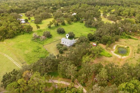 House in Thonotosassa, Florida 4 bedrooms, 402.92 sq.m. № 2337365 - photo 16