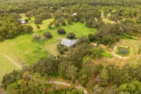 House in Thonotosassa, Florida 4 bedrooms, 402.92 sq.m. № 2337365 - photo 15