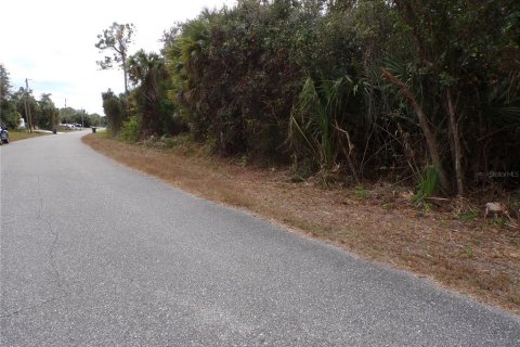 Land in North Port, Florida № 2165369 - photo 6