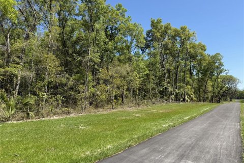 Land in Reddick, Florida № 2204366 - photo 3