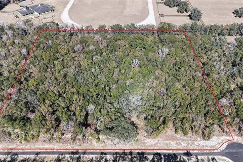 Land in Reddick, Florida № 2204366 - photo 8