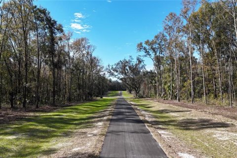Land in Reddick, Florida № 2204366 - photo 9