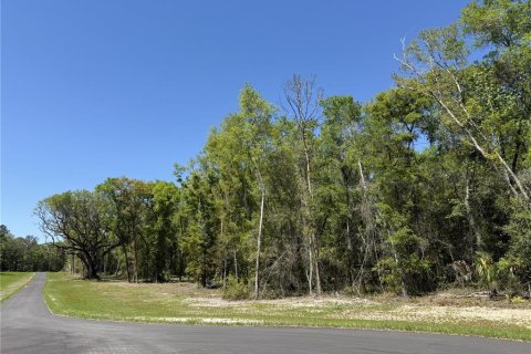 Land in Reddick, Florida № 2204366 - photo 2