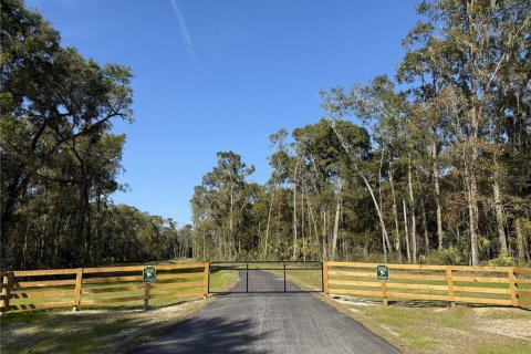Land in Reddick, Florida № 2204366 - photo 10
