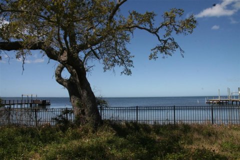 Land in Holiday, Florida № 2143128 - photo 4