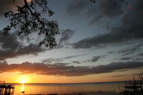 Land in Holiday, Florida № 2143128 - photo 2