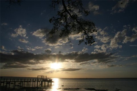 Land in Holiday, Florida № 2143128 - photo 3