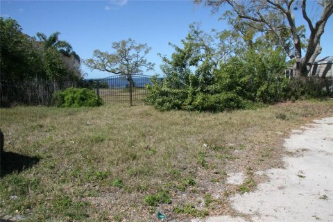 Land in Holiday, Florida № 2143128 - photo 6