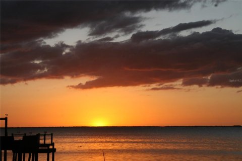 Land in Holiday, Florida № 2143128 - photo 9