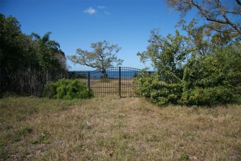 Land in Holiday, Florida № 2143128 - photo 5
