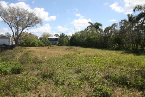 Land in Holiday, Florida № 2143128 - photo 7