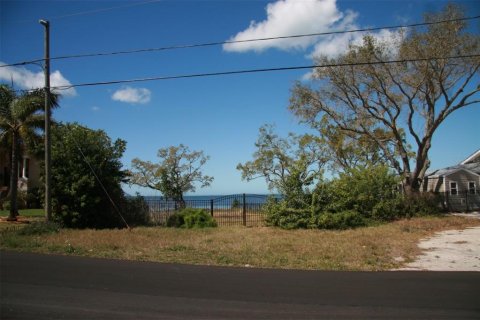 Land in Holiday, Florida № 2143128 - photo 8