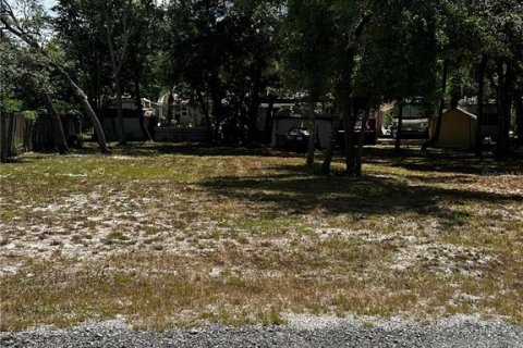 Land in New Port Richey, Florida № 2158862