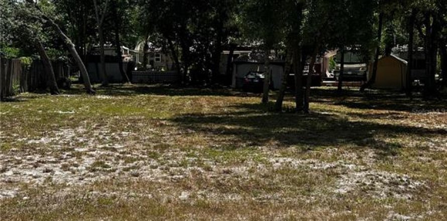 Land in New Port Richey, Florida № 2158862