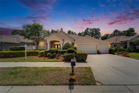 Villa ou maison à vendre à Valrico, Floride: 4 chambres, 255.11 m2 № 1655007 - photo 1