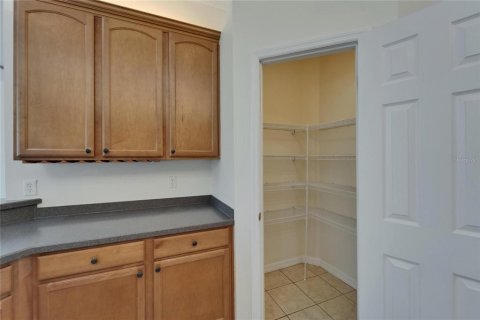 Villa ou maison à vendre à Valrico, Floride: 4 chambres, 255.11 m2 № 1655007 - photo 19