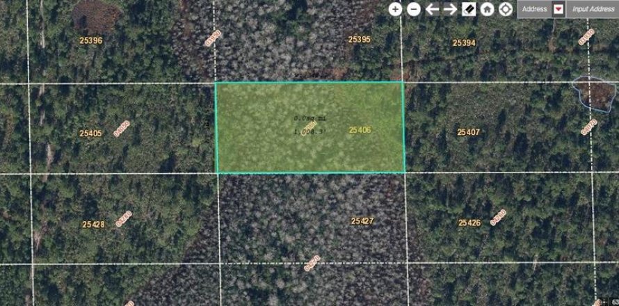Land in Orlando, Florida № 2218727