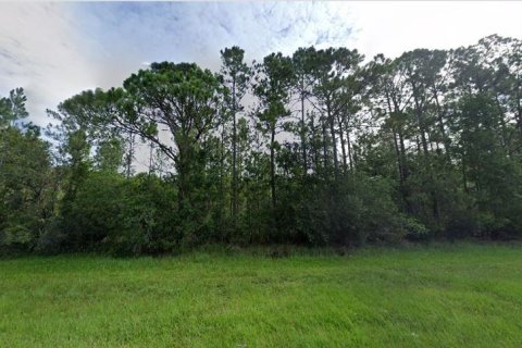 Land in Orlando, Florida № 2218727 - photo 2