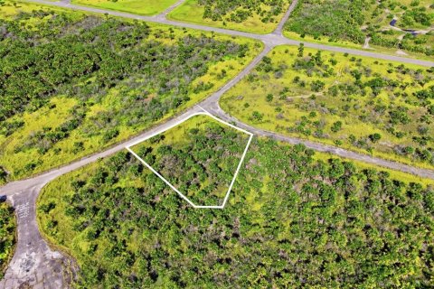 Land in Palm Bay, Florida № 2159797 - photo 4