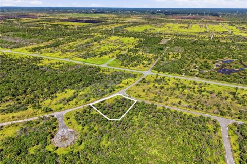Land in Palm Bay, Florida № 2159797 - photo 3