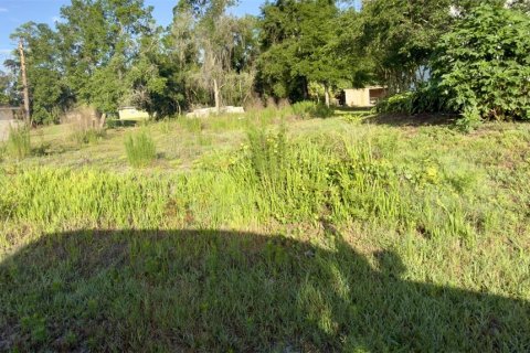 Land in DeLand, Florida № 2115363
