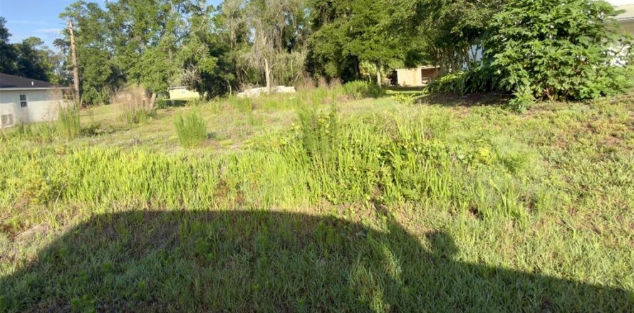 Land in DeLand, Florida № 2115363
