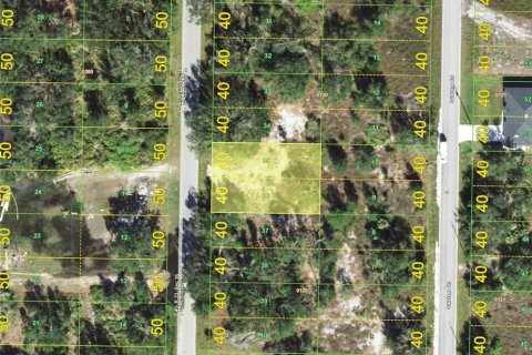 Terreno en Punta Gorda, Florida № 2165875